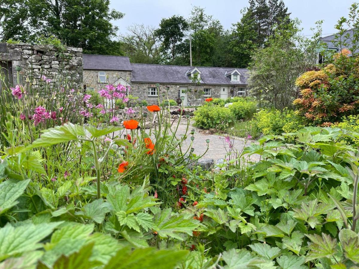 Crug Yr Eryr Isaf Villa Llandysul Exterior photo
